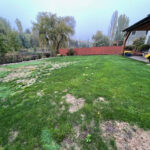 A yard with grass and trees in the background.