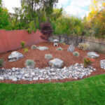 A garden with rocks and plants in the middle of it