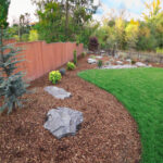 A garden with rocks and trees in the background.